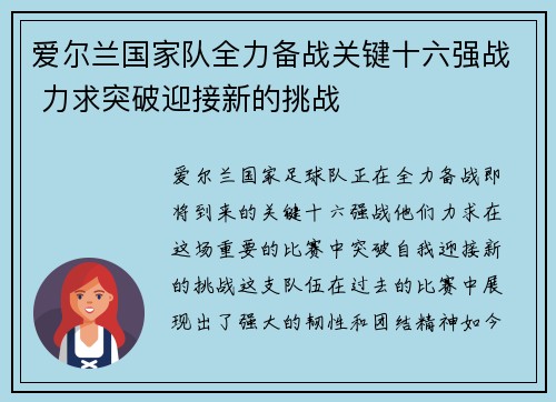 爱尔兰国家队全力备战关键十六强战 力求突破迎接新的挑战
