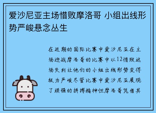 爱沙尼亚主场惜败摩洛哥 小组出线形势严峻悬念丛生