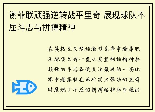 谢菲联顽强逆转战平里奇 展现球队不屈斗志与拼搏精神