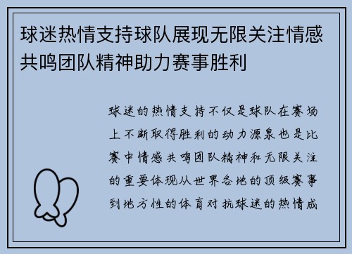 球迷热情支持球队展现无限关注情感共鸣团队精神助力赛事胜利